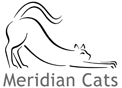 Meridian Cats